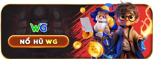 Hệ thống bảo mật Winmax1